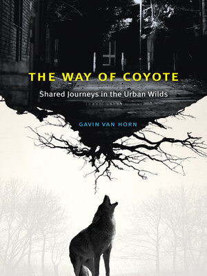 cover image of The Way of Coyote
